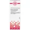 PANAX GINSENG D 6 Laimennus, 20 ml