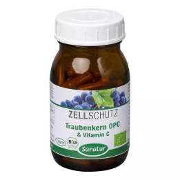 OPC TRAUBENKERN &amp; C-vitamiinikapselit, 90 kapselia