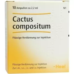 CACTUS COMPOSITUM Ampullit, 10 kpl