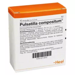 PULSATILLA COMPOSITUM Ampullit, 10 kpl