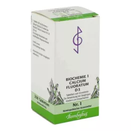 BIOCHEMIE 1 Calcium fluoratum D 3 tablettia, 200 kpl