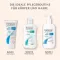 PHYSIOGEL Daily Moisture Therapy suihkuvoide, 150 ml