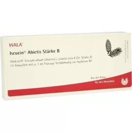 ISCUCIN abietis Tärkkelys B -ampullit, 10X1 ml