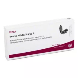 ISCUCIN abietis Tärkkelys B -ampullit, 10X1 ml