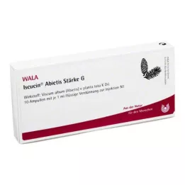 ISCUCIN abietis Tärkkelys G -ampullit, 10X1 ml