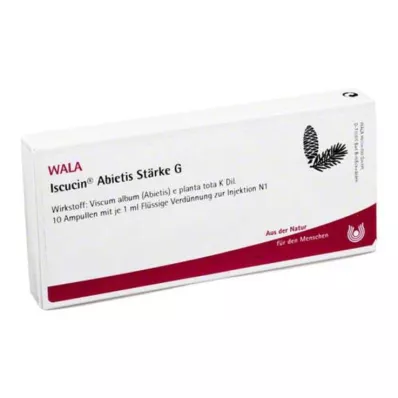 ISCUCIN abietis Tärkkelys G -ampullit, 10X1 ml