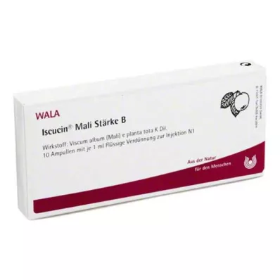 ISCUCIN mali Tärkkelys B Ampullit, 10X1 ml ISCUCIN mali Tärkkelys B Ampullit, 10X1 ml