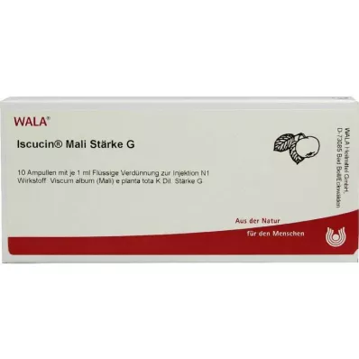 ISCUCIN mali Tärkkelys G Ampullit, 10X1 ml