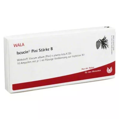 ISCUCIN pini Tärkkelys B -ampullit, 10X1 ml ISCUCIN pini Tärkkelys B -ampullit, 10X1 ml