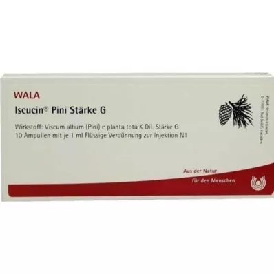ISCUCIN pini-tärkkelys G-ampullit, 10X1 ml ISCUCIN pini-tärkkelys G-ampullit, 10X1 ml