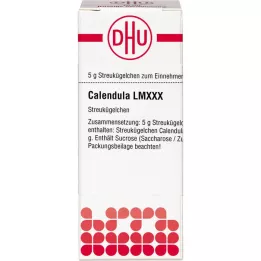 CALENDULA LM XXX Pallot, 5 g