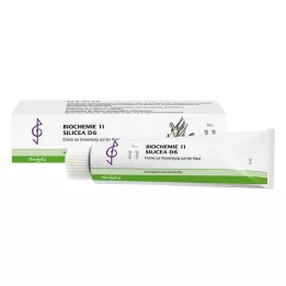 BIOCHEMIE 11 Silicea D 6 -voide, 100 ml