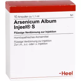 ARSENICUM ALBUM INJEEL S Ampullit, 10 kpl