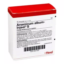 ARSENICUM ALBUM INJEEL S Ampullit, 10 kpl