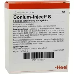 CONIUM INJEEL S Ampullit, 10 kpl