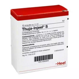 THUJA INJEEL S Ampullit, 10 kpl