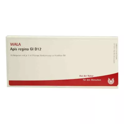 APIS REGINA GL D 12 ampullia, 10X1 ml