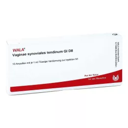 VAGINAE synovial tendinum GL D 8 ampullia, 10X1 ml
