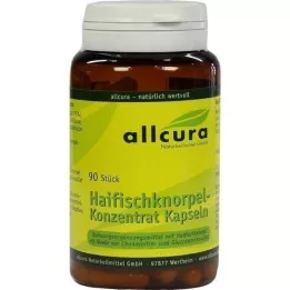 HAIFISCH KNORPEL Konsentraattikapselit, 90 kpl