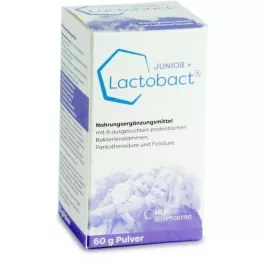 LACTOBACT Junior-jauhe, 60 g
