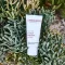ALOE VERA CREME medium ilman hajustetta, 30 ml