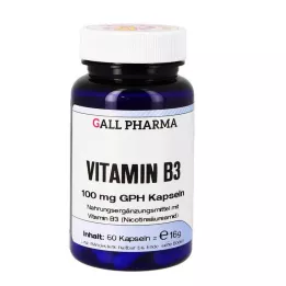 VITAMIN B3 100 mg GPH Kapselit, 60 kpl