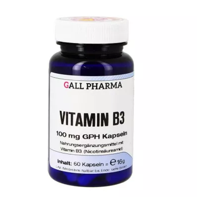 VITAMIN B3 100 mg GPH Kapselit, 60 kpl