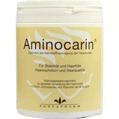 AMINOCARIN Tinajauhe, 400 g