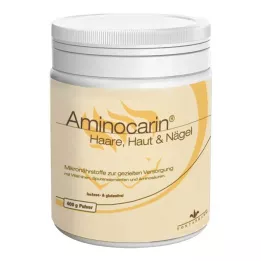 AMINOCARIN Tinajauhe, 400 g