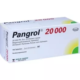 PANGROL 20 000 enteropäällysteistä tablettia, 100 kpl