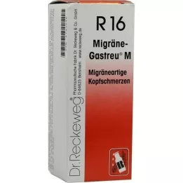 MIGRÄNE-GASTREU M R16-seos, 50 ml