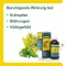 GASTRICHOLAN-L Suuneste, 30 ml