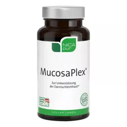 NICAPUR MucosaPlex Kapselit, 60 kapselia, 60 kpl