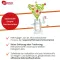 ZELL OXYGEN Immuunikompleksikuuri neste, 3X250 ml