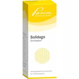 SOLIDAGO SIMILIAPLEX Tipat, 50 ml