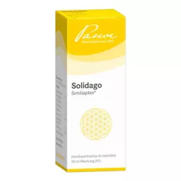 SOLIDAGO SIMILIAPLEX Tipat, 50 ml