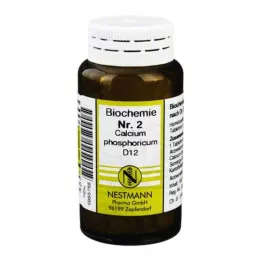 BIOCHEMIE 2 Kalsiumfosforicum D 12 tablettia, 100 kpl