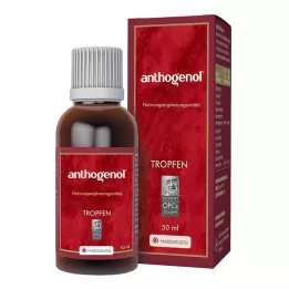ANTHOGENOL Masquelier OPC Tipat, 50 ml