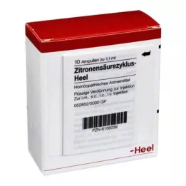 ZITRONENSÄUREZYKLUS Kanta-ampullit, 10 kpl