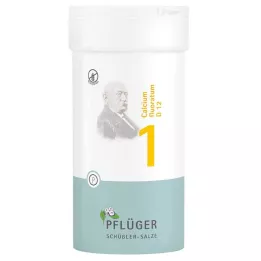 BIOCHEMIE Kyntölaasti 1 Calcium fluoratum D 12 tbl, 400 kpl