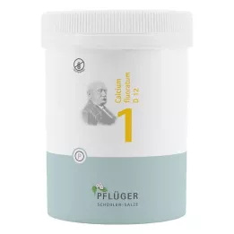 BIOCHEMIE Kyntölaastari 1 Calcium fluoratum D 12 tbl, 1000 kpl