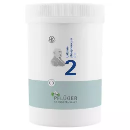 BIOCHEMIE Kyntölaastari 2 Calcium phosphoricum D 6 tbl, 4000 kpl