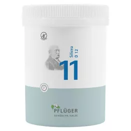 BIOCHEMIE Ploughmans Plaster 11 Silicea D 12 tablettia, 1000 kpl