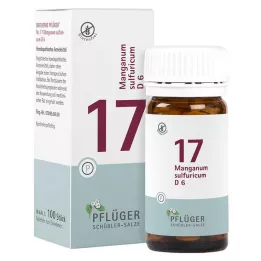 BIOCHEMIE Kyntölaastari 17 Manganum sulphuricum D 6 tbl, 100 kpl