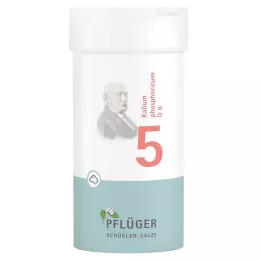 BIOCHEMIE Kyntölaastari 5 Kalium phosphoricum D 6 Jauhe, 100 g