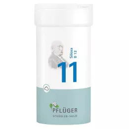 BIOCHEMIE Ploughmans 11 Silicea D 12 -jauhe, 100 grammaa