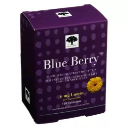 BLUE BERRY Tabletit, 120 kpl