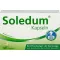 SOLEDUM 100 mg enteropäällysteiset kapselit, 100 kpl