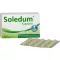 SOLEDUM 100 mg enteropäällysteiset kapselit, 100 kpl