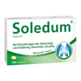 SOLEDUM 100 mg enteropäällysteiset kapselit, 100 kpl